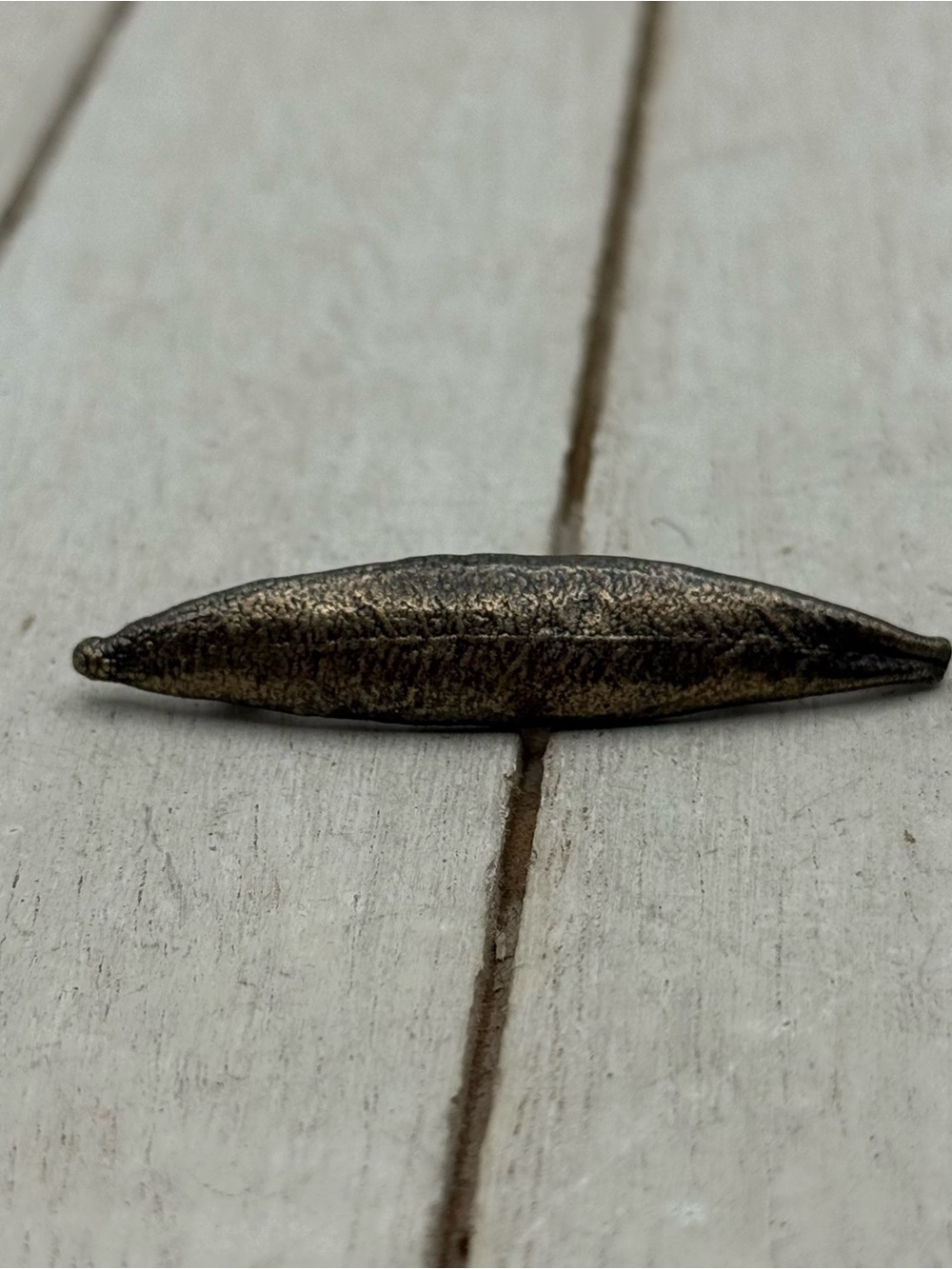 Antique Brass Toned brooch/pendant